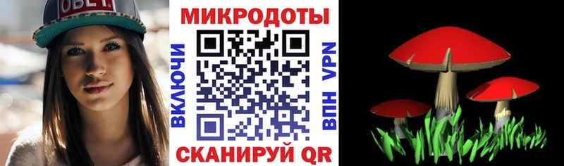 Псилоцибиновые грибы мухоморы Черняховск